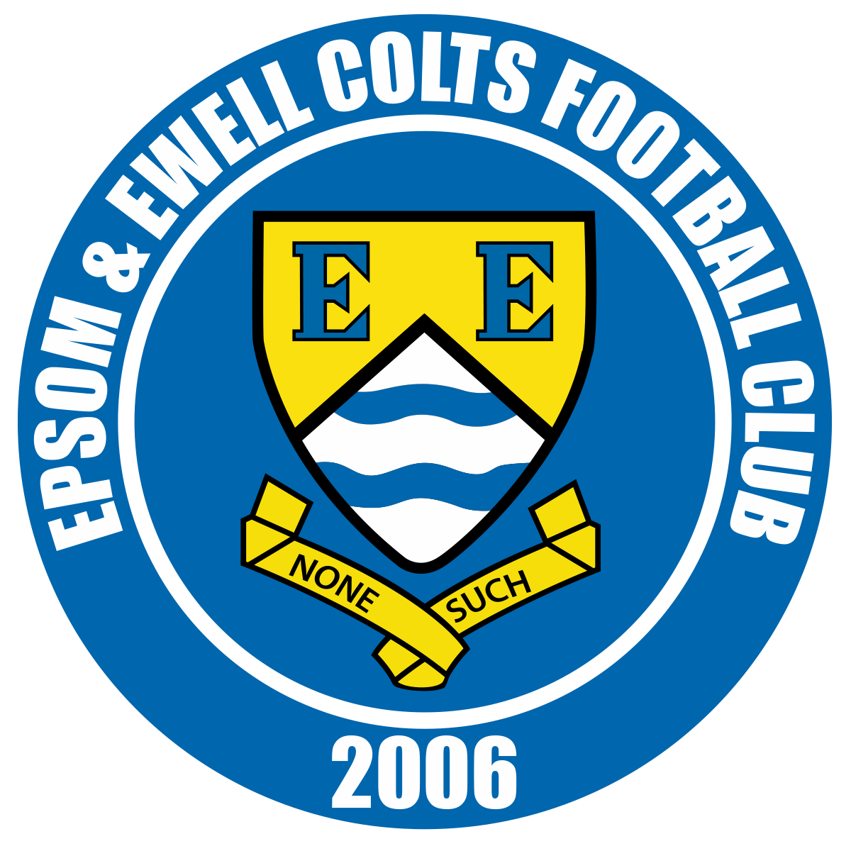 Epsom & Ewell Colts FC